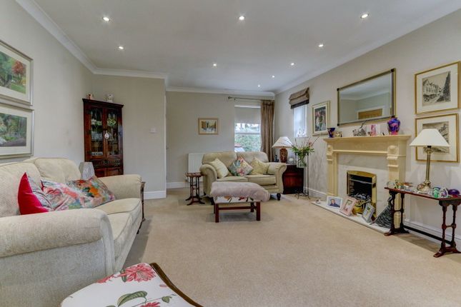 Holystone, Morpeth photo 4