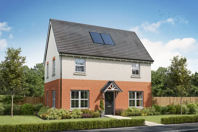 Persimmon Homes - Warren Park