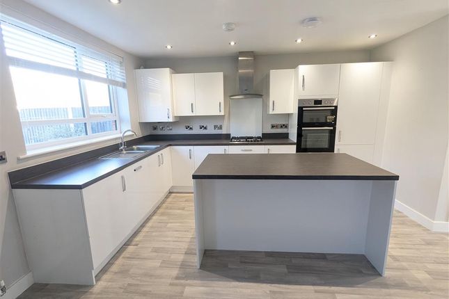 Kitchen/ Dining/ Family Room