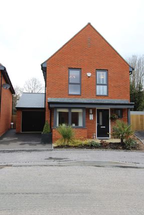 Thumbnail Link Detached House To Rent In Brook Road Southampton Thumbnail Link Detached House To Rent In Brook Road Southampton