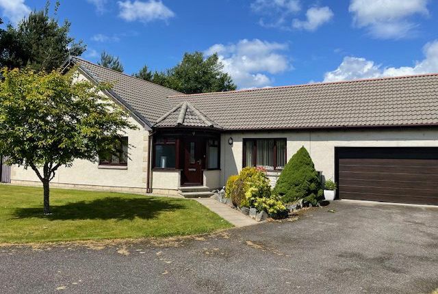 Thumbnail Detached bungalow to rent in Enrick Crescent, Kilmore, Drumnadrochit, Inverness