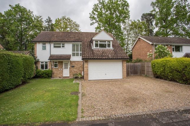 Thumbnail Property to rent in Oaklands Drive, Ascot, Berkshire
