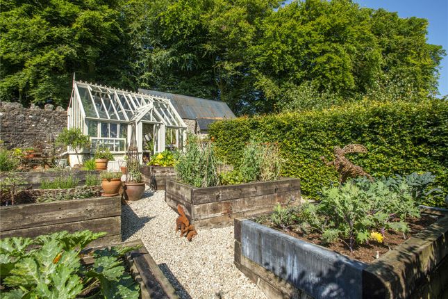 Kitchen Garden