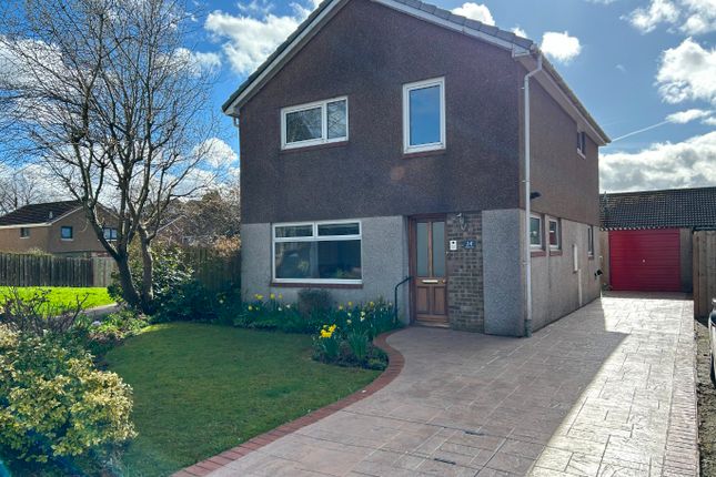 Thumbnail Detached house to rent in Firbank Grove, East Calder