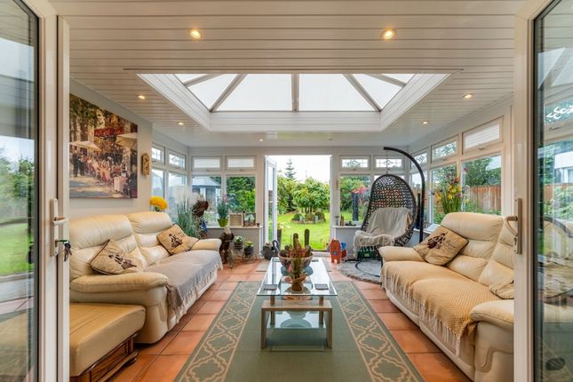 37 Sandbanks Way, Hailsham photo 4