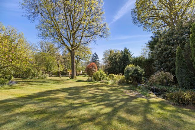 Woodlands Cottage, Norney, Shackleford photo 4