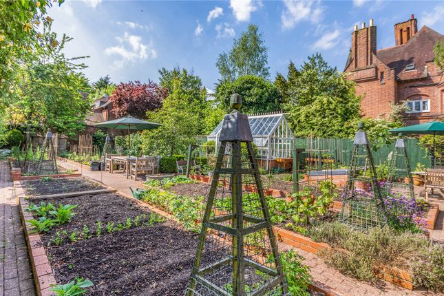 Kitchen Garden