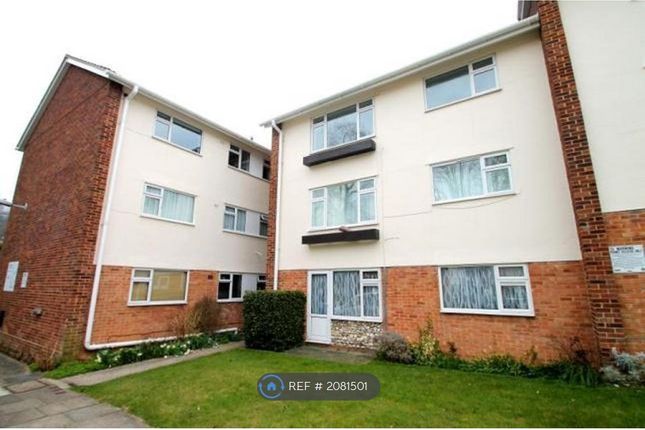 Thumbnail Flat to rent in Cliveden Close, Brighton