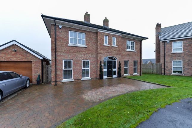Thumbnail Detached house for sale in Millreagh Avenue, Dundonald, Belfast