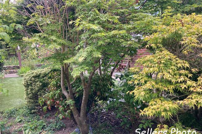Detached bungalow for sale in Stockmeadow Gardens, Bishopsteignton