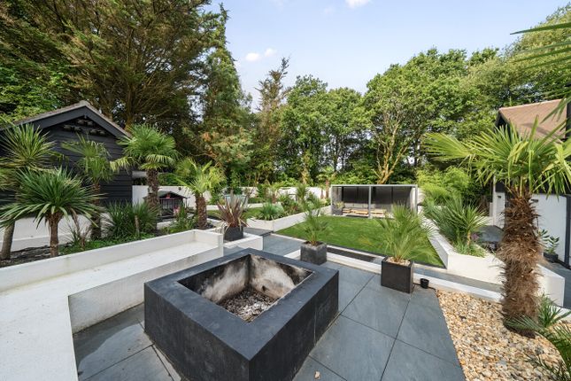 Homewood Palms, Bourne Lane, Woodlands photo 2