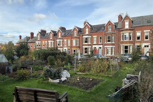 View Of Allotments.Jpg