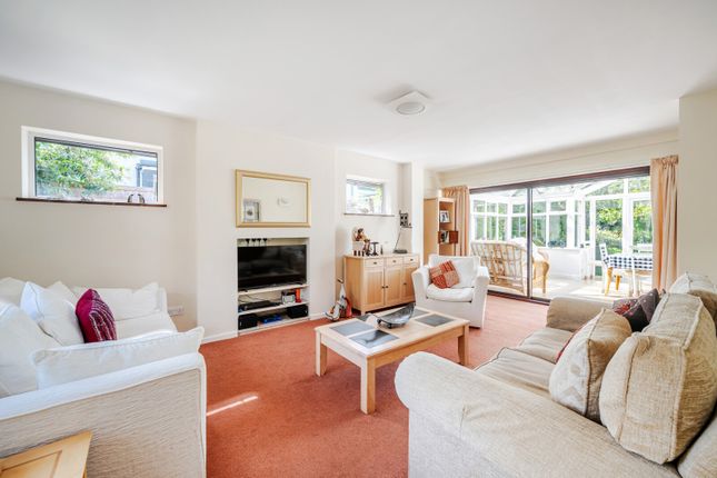 Achillea,, Heathway, East Horsley photo 3