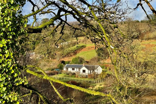 Rushfield,, Exford, Somerset photo 3
