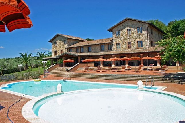 Thumbnail Villa for sale in Toscana, Grosseto, Massa Marittima