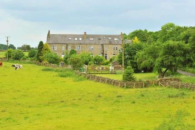 Thumbnail Terraced house for sale in Back Road, High Birstwith, Harrogate