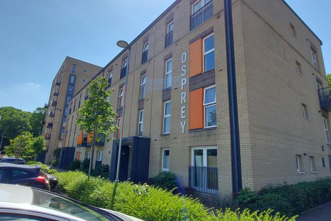 External