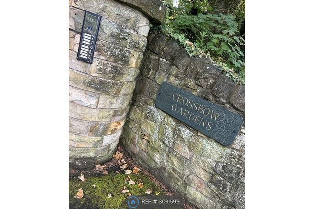 Blantyre, Glasgow photo 2