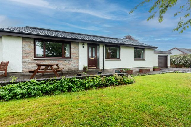 Thumbnail Bungalow for sale in Old Church Road, Wolfhill, Perth