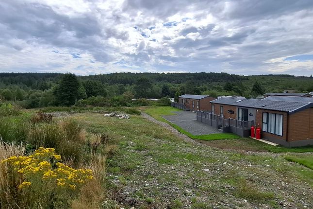 Galloway Forest Holiday Park, Newton Stewart photo 2