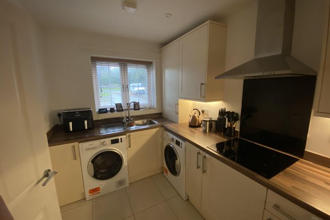 7 Birchfield Grove, Cranbrook photo 3