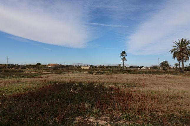 Land for sale in Elche, Alicante, Spain