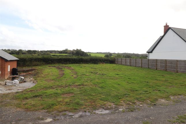 Land for sale in Black Torrington, Beaworthy