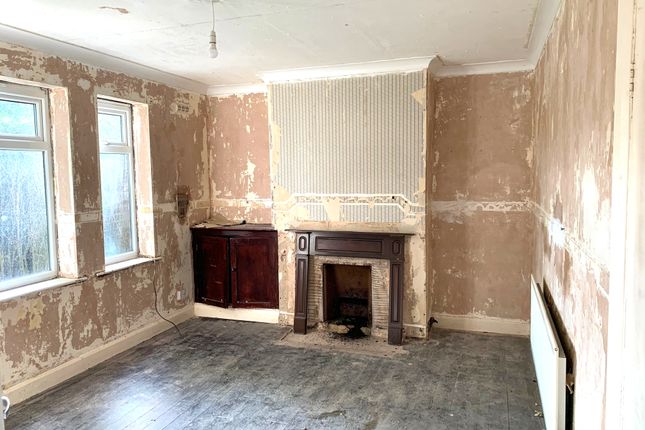Ash Grove, Newcastle photo 2