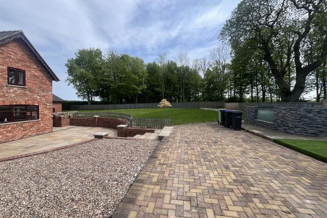 Rear Garden/Driveway