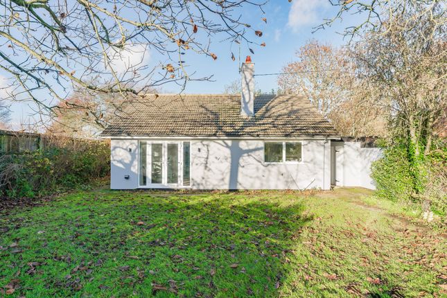 Thumbnail Detached bungalow to rent in The Uplands, Beccles