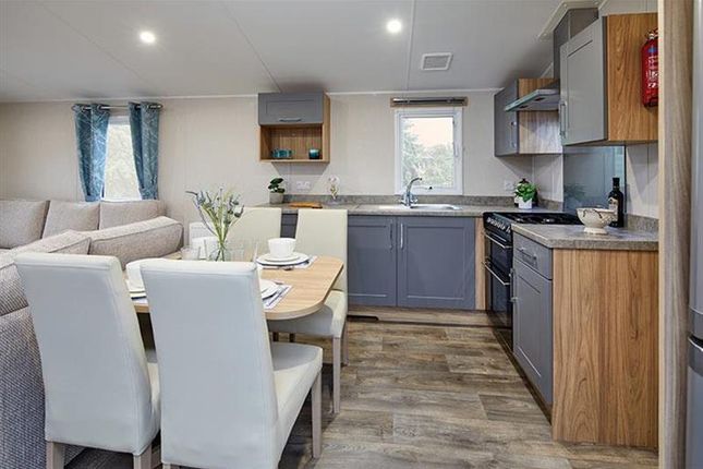Whitecliff Bay Holiday Park, Hillway Rd, Bembridge photo 3
