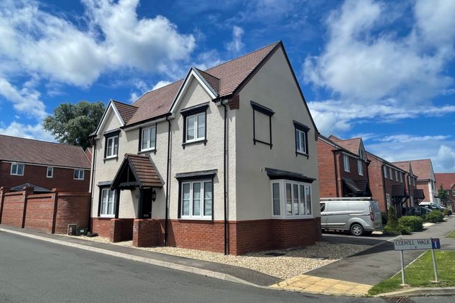 Thumbnail Detached house for sale in Colwill Walk, Bideford