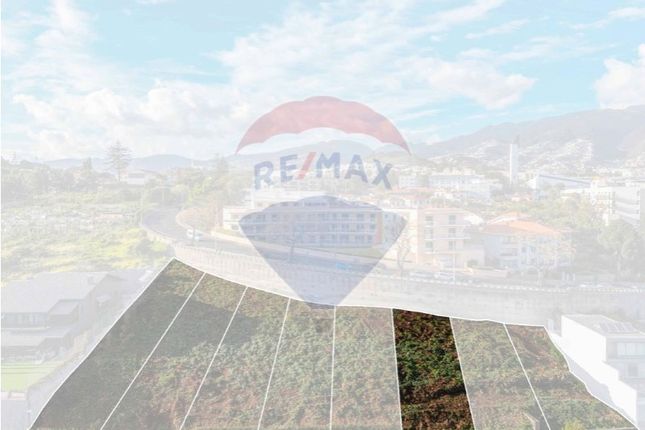 Thumbnail Land for sale in São Martinho, Funchal, Madeira