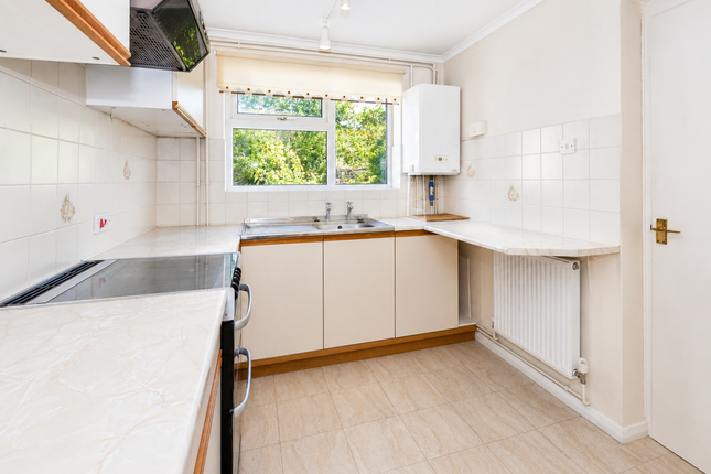 9, King Edwards Rise, Ascot photo 4