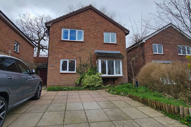 Thumbnail Detached house to rent in Longham Copse, Downswood, Maidstone