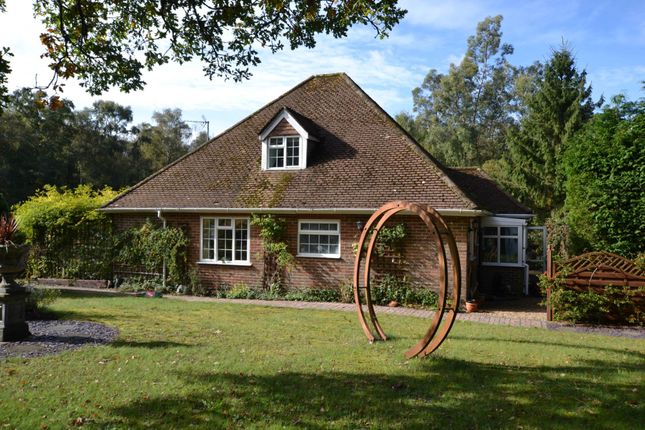 Detached bungalow for sale in Hollywater Road, Bordon, Hampshire