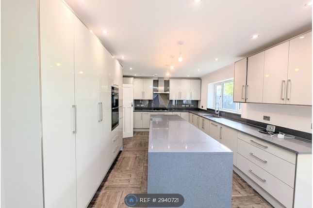 Tamarisk Avenue, Reading photo 3