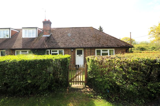 Semi-detached bungalow to rent in Lyefield Lane, Forest Green, Dorking