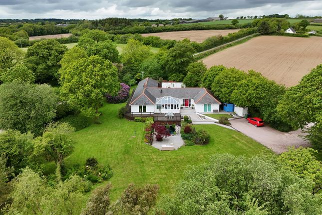 Brambles, Crediton photo 2