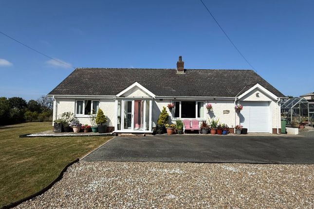 Dyffryn, Llanarth, Ceredigion photo 2