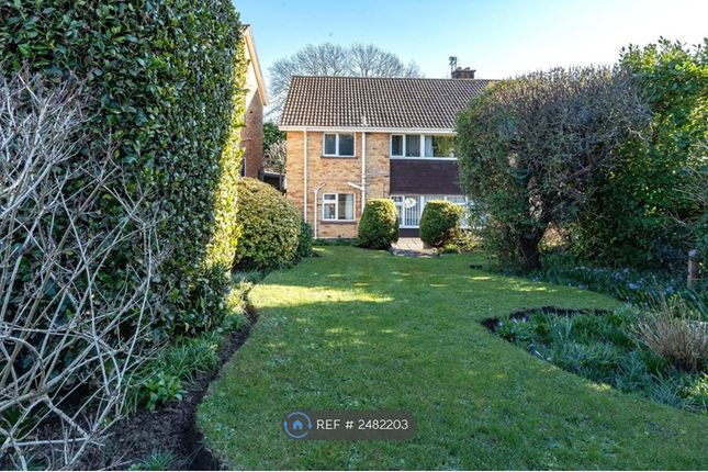 Garden. (Looking Down The Hill)