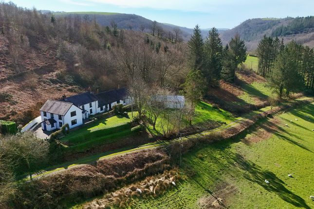 Erw Hen, Pumpsaint, Llanwrda photo 4