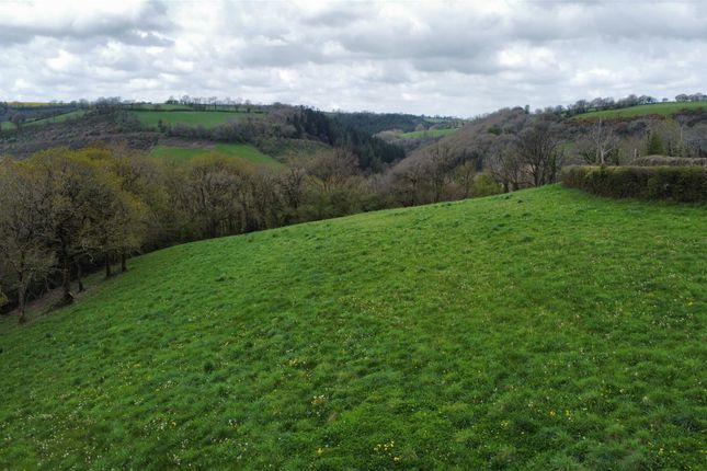 Land for sale in Gellywen, Carmarthen