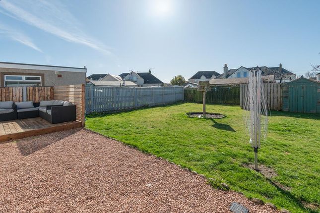 14a, Elm Grove, Anstruther photo 2