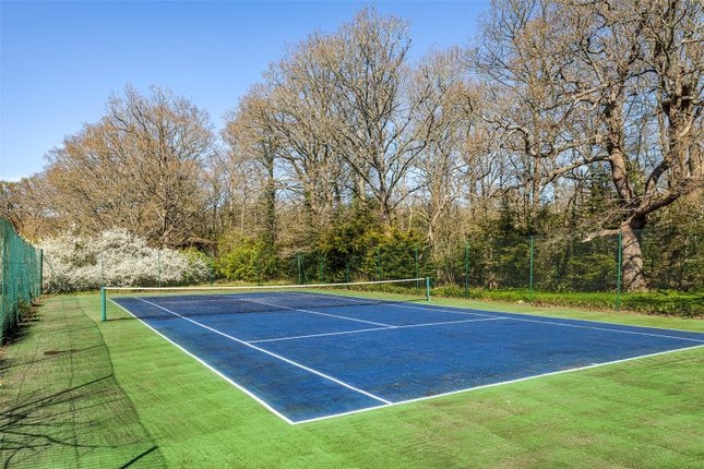Sandhills,, Oxshott Road, Oxshott photo 4
