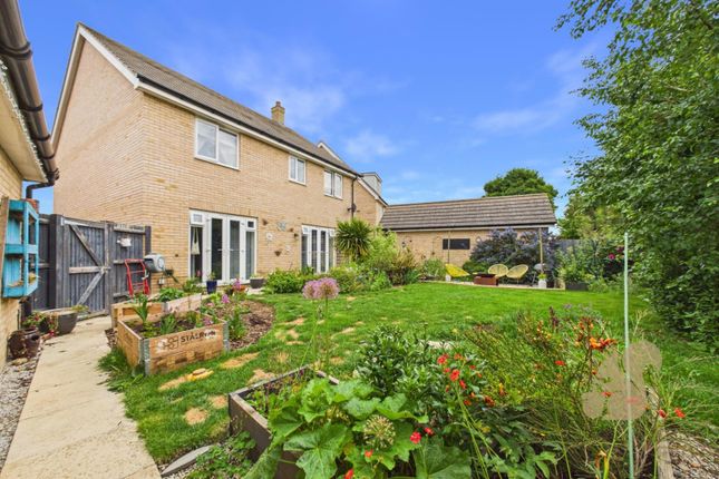17, Hall Lane, Bury St. Edmunds photo 4