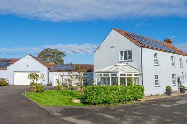 Crossway House, Chedzoy Lane, Bridgwater photo 2