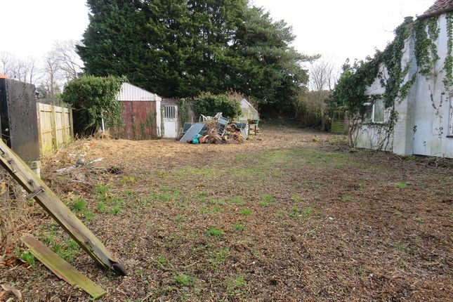 Sonwin, Ely Road, DOWNHAM MARKET photo 2