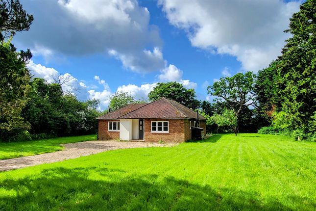 Detached bungalow for sale in Levens Green, Old Hall Green, Ware