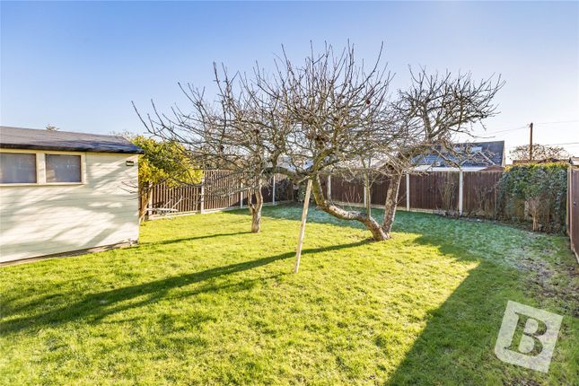 Bungalow for sale in Downham Road, Wickford, Essex